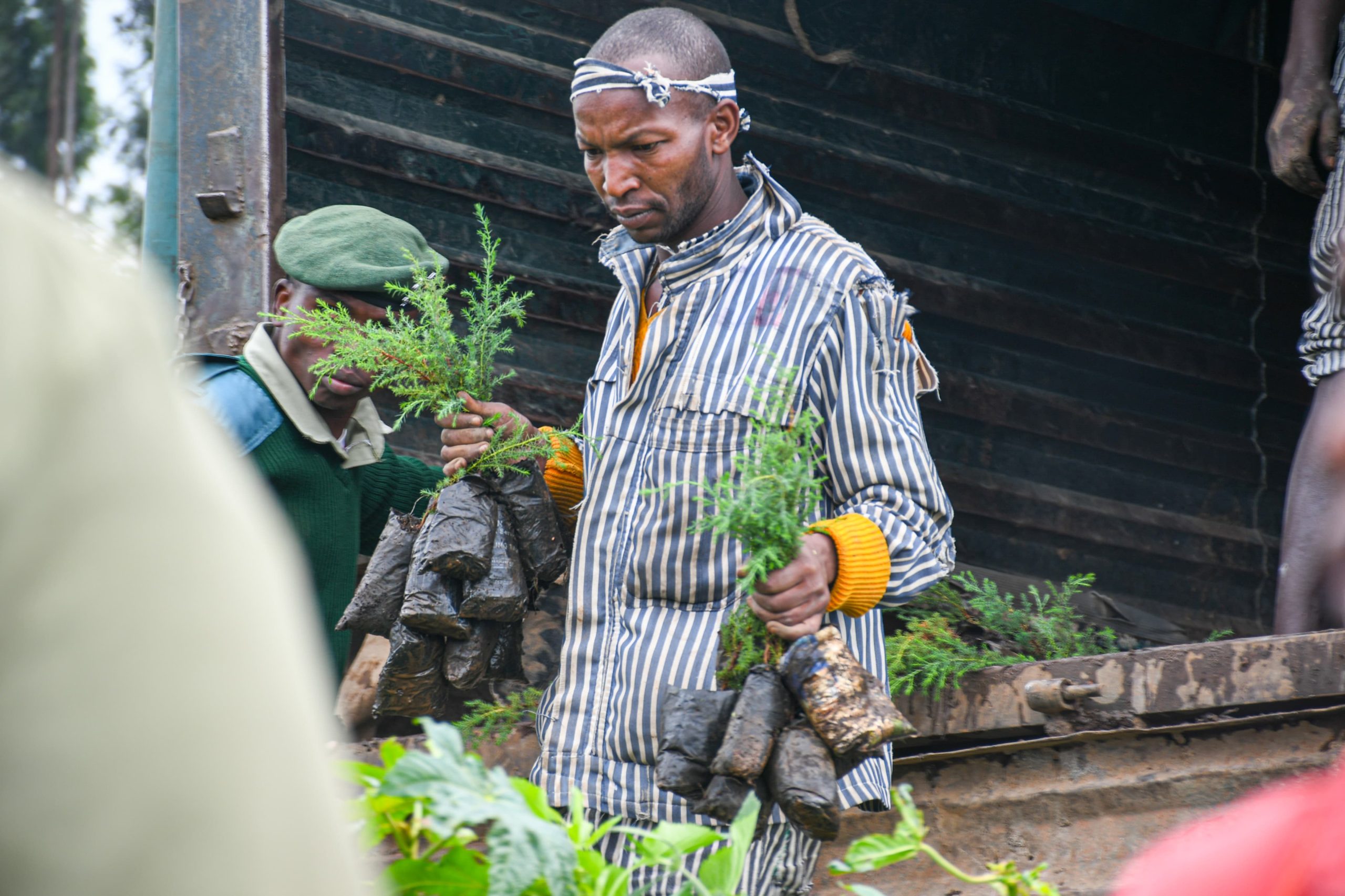 Nakuru Conducts Tree Planting Exercise along Mololine-Gioto Dumpsite to Enhance Environmental Conservation