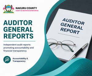 Auditor General Reports
