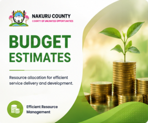 Budget Estimates