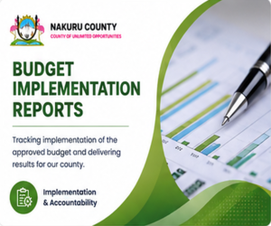 Budget Implementation Report