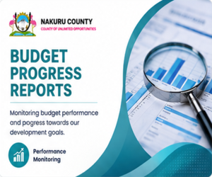 Budget Progress Reports