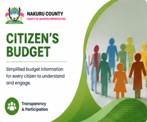 Citizen's Budget
