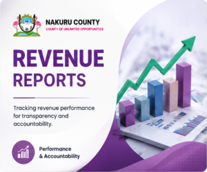 Revenue Reports
